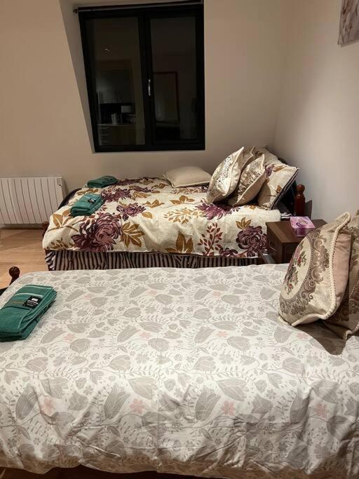 010- Lovely One Bedroom In Ealing F6 Dış mekan fotoğraf